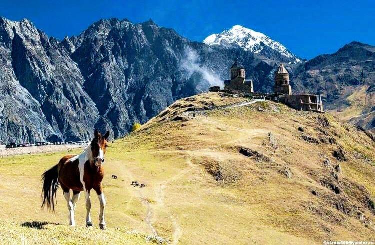 Гостевой дом Мариами Казбеги Экстерьер фото